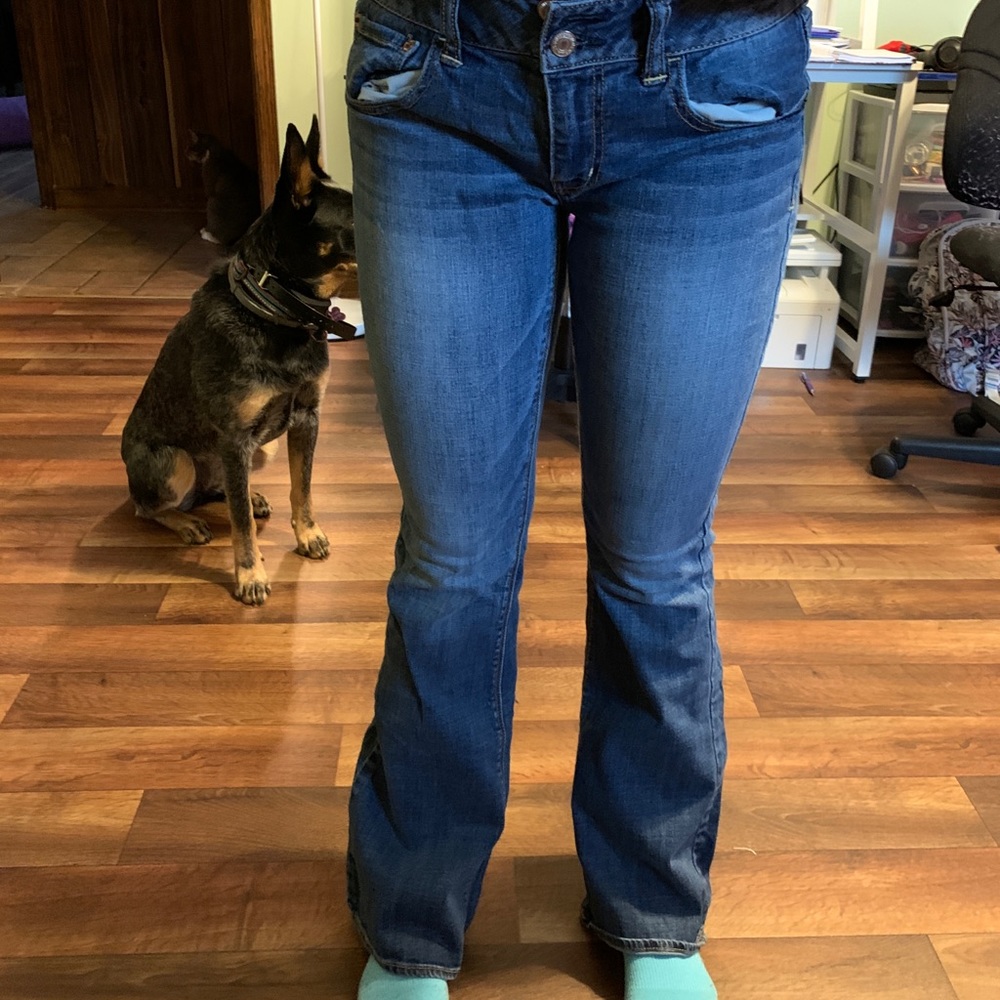 american eagle artist super strecth